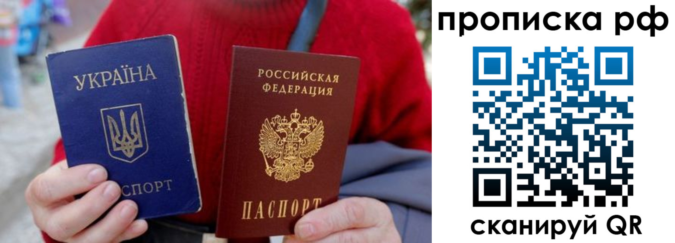 где прописаться в Светогорске
