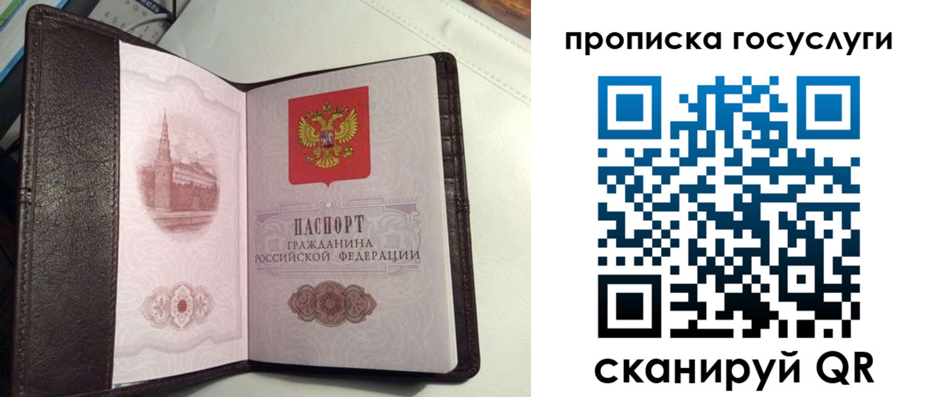 временная прописка в Светогорске